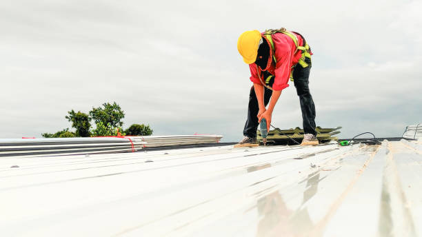 Best Gutter Installation and Repair  in Mohnton, PA