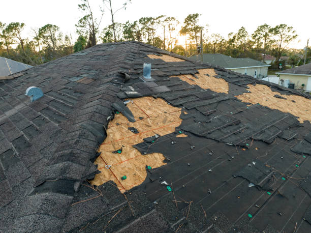 Best Gutter Installation and Repair  in Mohnton, PA