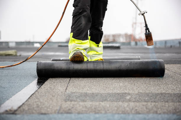 Best Roof Insulation Installation  in Mohnton, PA